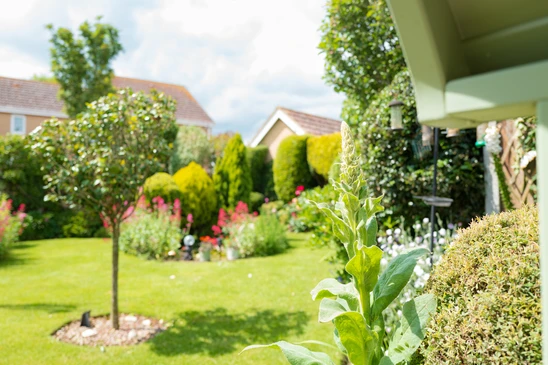 Aménagement paysager extérieur résidentiel avec escaliers en pierre naturelle multicolore, terrasse surélevée en dalles beiges et marches intermédiaires